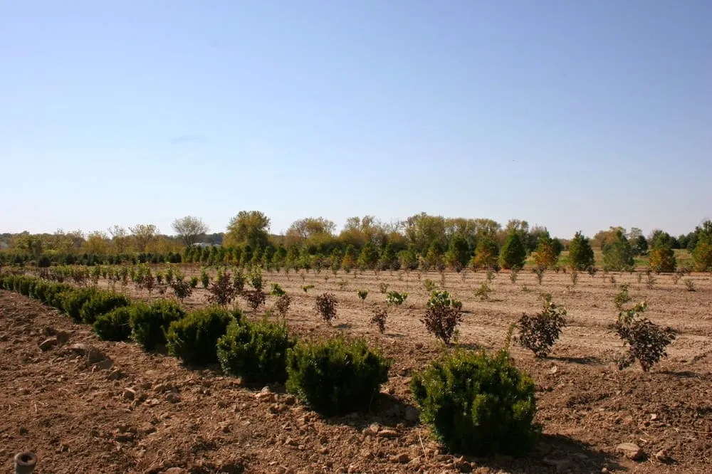 Trusted residential landscaping in Maple Park, IL by Clausen Landscape & Design