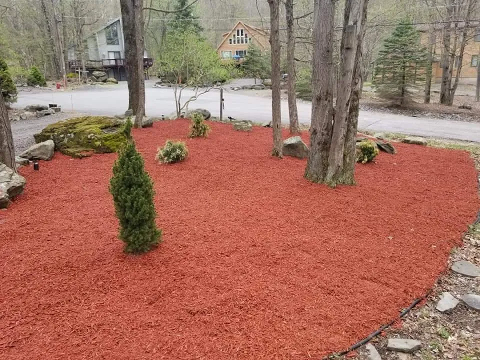 Affordable yard maintenance for beautiful yards across Lake Ariel, PA - Clauss & Kellogg Land Care