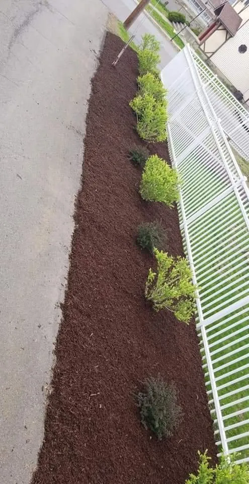 Local landscaping services for homes across Lake Ariel, PA - Clauss & Kellogg Land Care