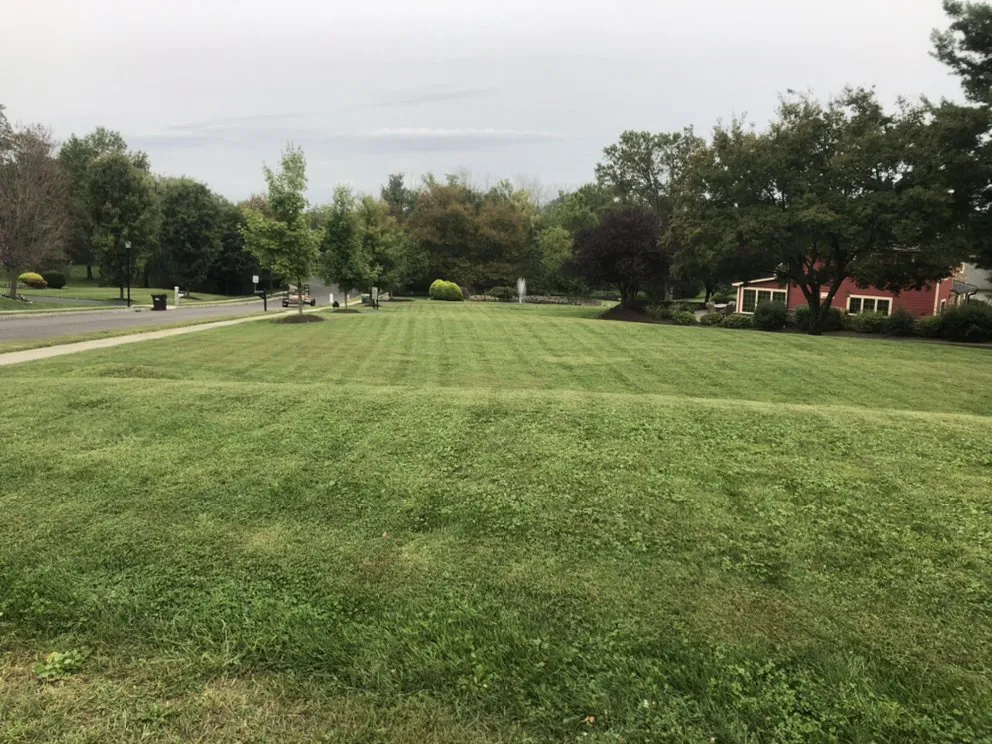 Custom yard maintenance for homes in Warrington, PA by Clauss Property Maintenance