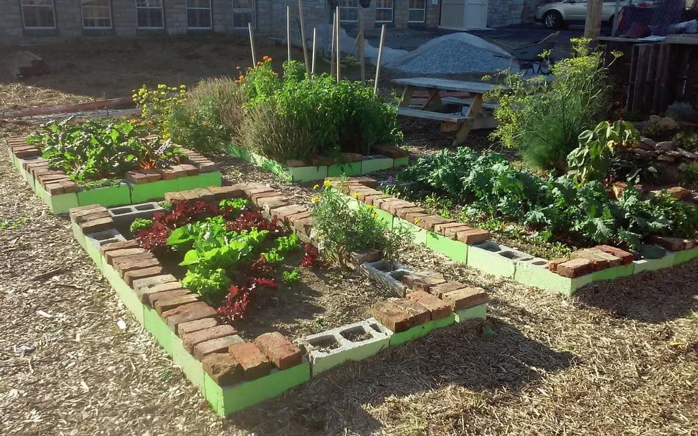 Expert outdoor landscaping in Schwenksville, PA - Clay and Plenty