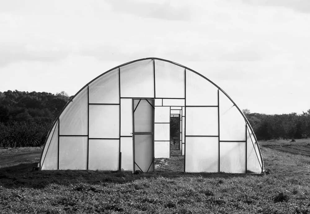 Trusted yard maintenance in Schwenksville, PA - Clay and Plenty