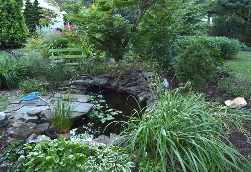 Custom yard cleanup service for outdoor upgrades in Schwenksville, PA by Clay and Plenty