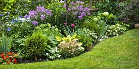 Custom landscape design in Fair Play, MO by Clay Landscaping