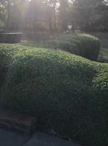 Local yard cleanup service in Fair Play, MO by Clay Landscaping