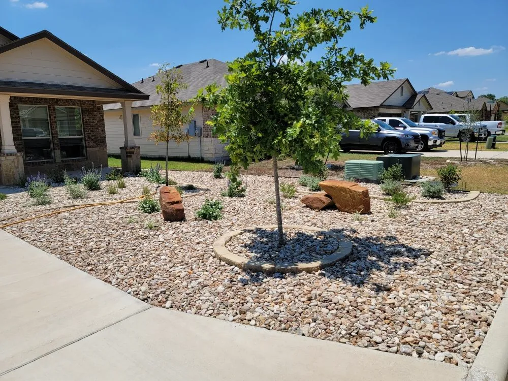 Top-rated lawn care service experts serving Georgetown, TX - Clayman Outdoors