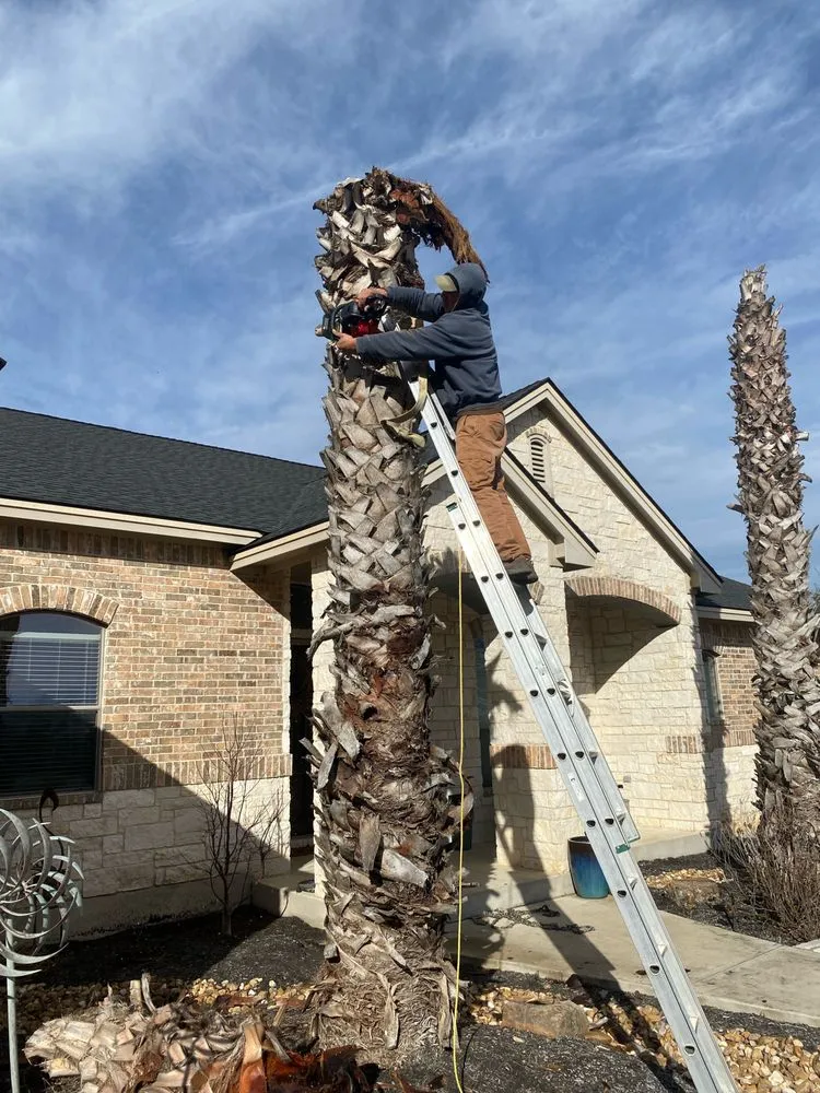 Expert lawn care service experts serving Liberty Hill, TX - Clayman Outdoors West Division