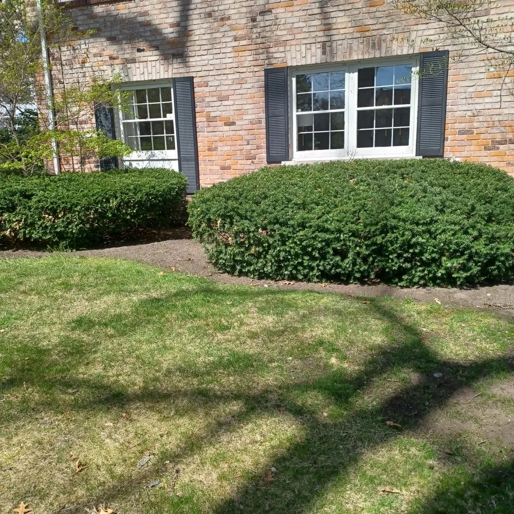 Expert landscape installation for homes across Sterling Heights, MI - Claymore Landscaping