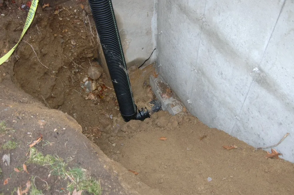 Reliable lawn care service for outdoor upgrades in Brentwood, NH by Clay's Brush Stump & Tree Removal