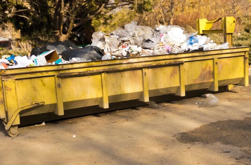 Expert landscaping services for outdoor upgrades across Lubbock, TX - Clay's Clean Up