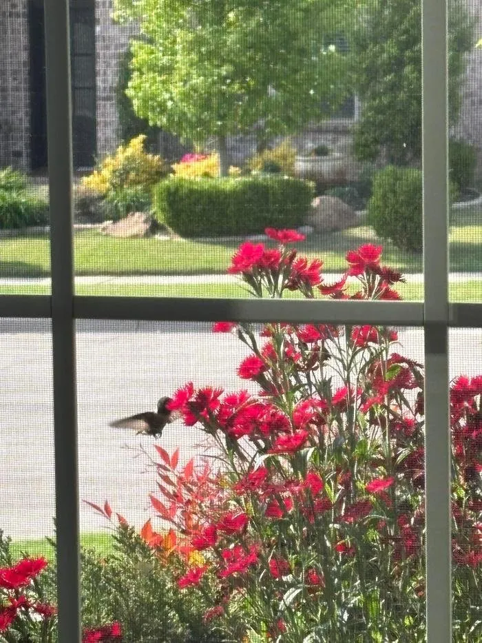 Expert outdoor landscaping experts serving Aubrey, TX - Clay's Clippers Landscape Creations