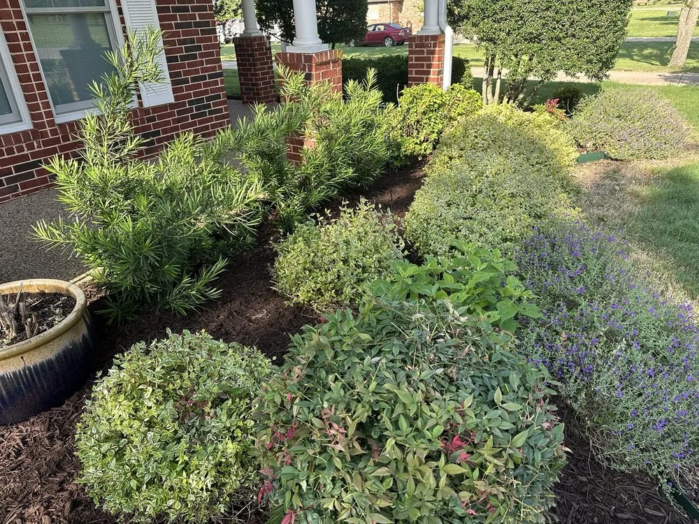 Expert landscaping services experts serving Aubrey, TX - Clay's Clippers Landscape Creations