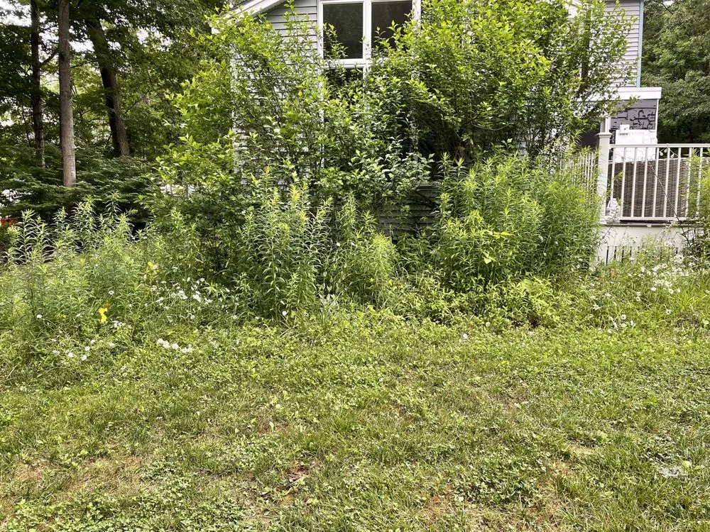Local lawn mowing service for residential properties across Dover, NH - Clay’s Properties