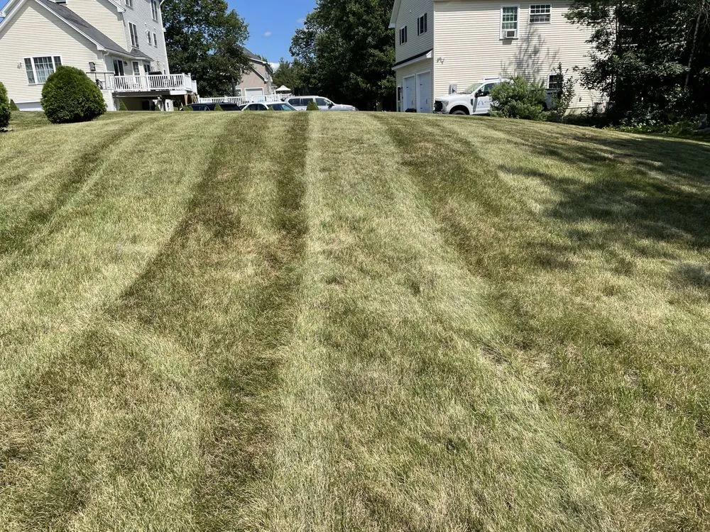 Expert lawn mowing service experts serving Dover, NH - Clay’s Properties