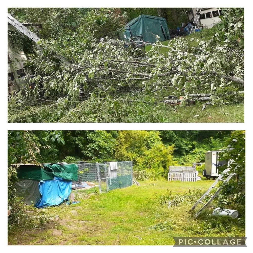 Expert yard maintenance in Dover, NH by Clay’s Properties