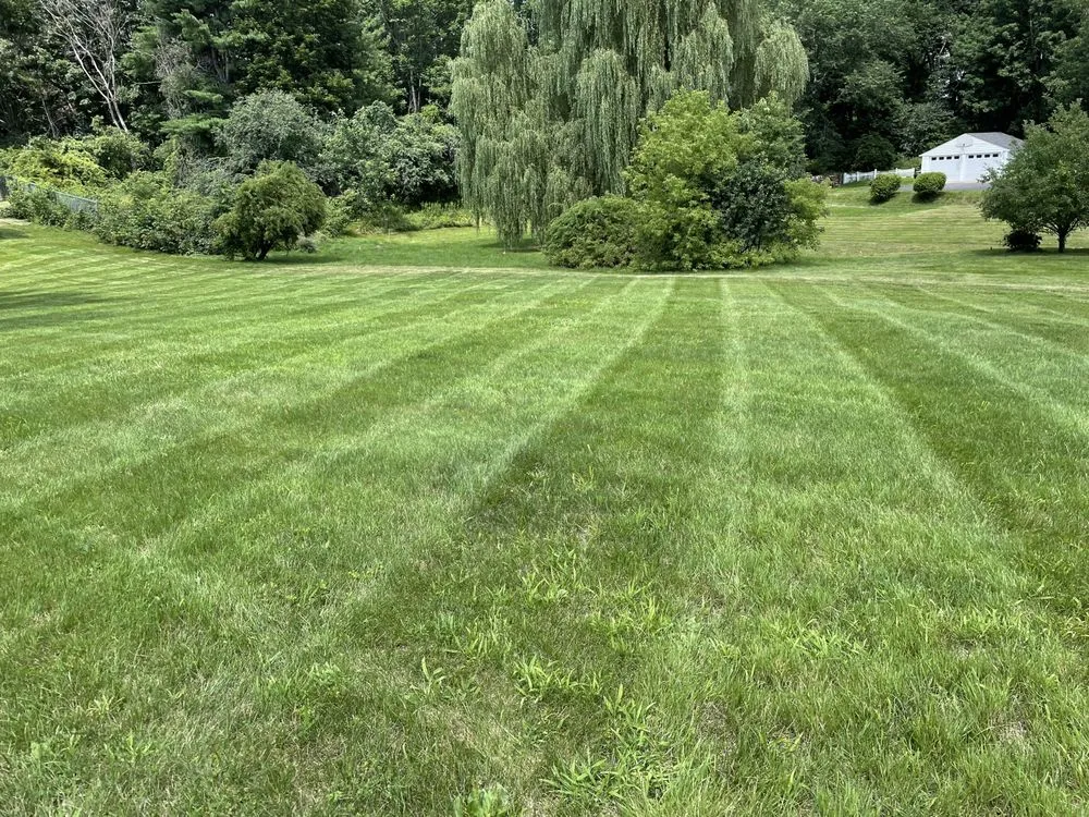 Trusted lawn care service for year-round maintenance across Dover, NH - Clay’s Properties