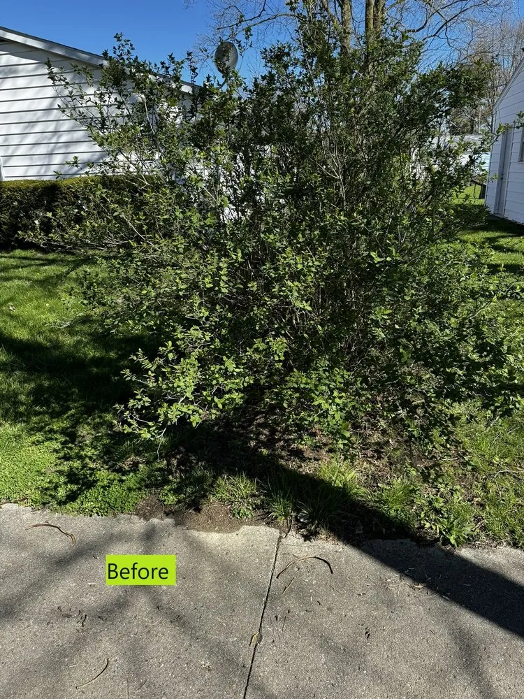 Reliable landscape design experts serving Marion, IN - Clay’s Tree Care