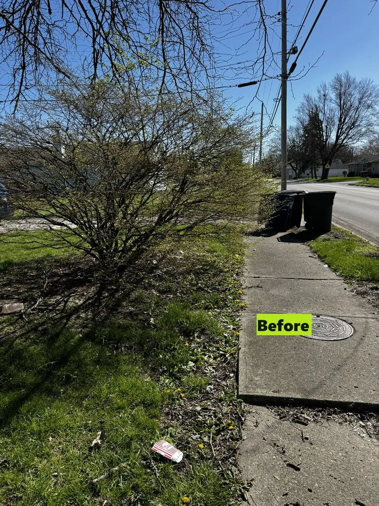 Top-rated landscaping services in Marion, IN - Clay’s Tree Care