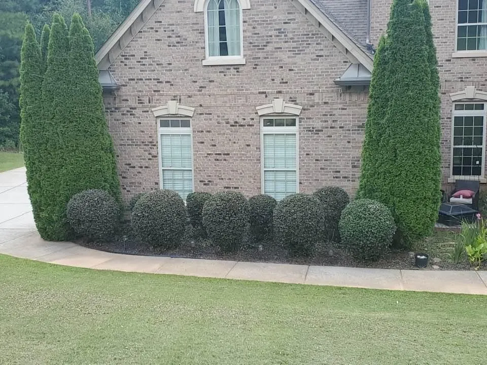 Expert lawn care service in Villa Rica, GA - Clayton Family Lawn Care