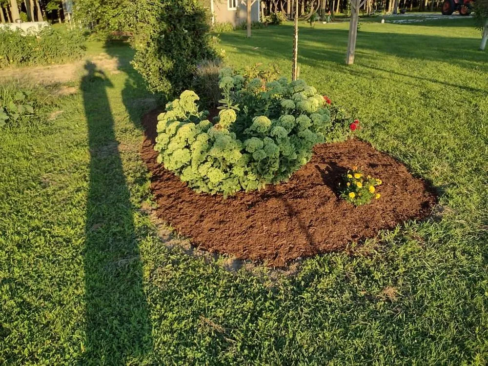 Reliable yard cleanup service near you in Crawfordsville, IN by Clayton Landscaping