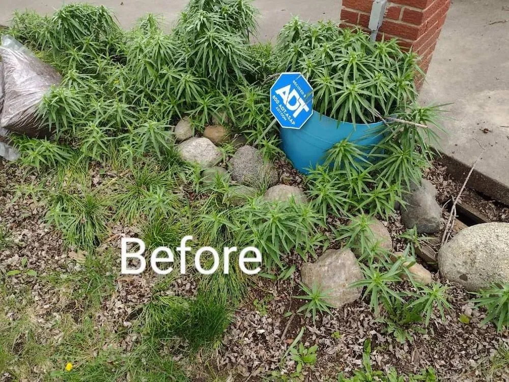 Affordable residential landscaping with custom design across Crawfordsville, IN - Clayton Landscaping