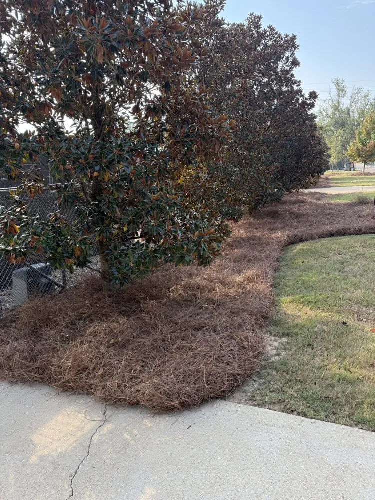 Expert yard cleanup service for beautiful yards in Oxford, MS by Clayton Professional Services
