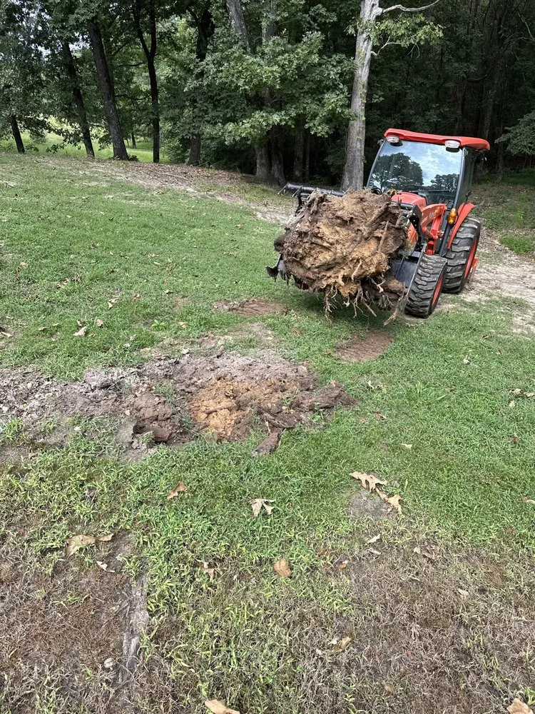 Affordable landscaping services in Oxford, MS - Clayton Professional Services