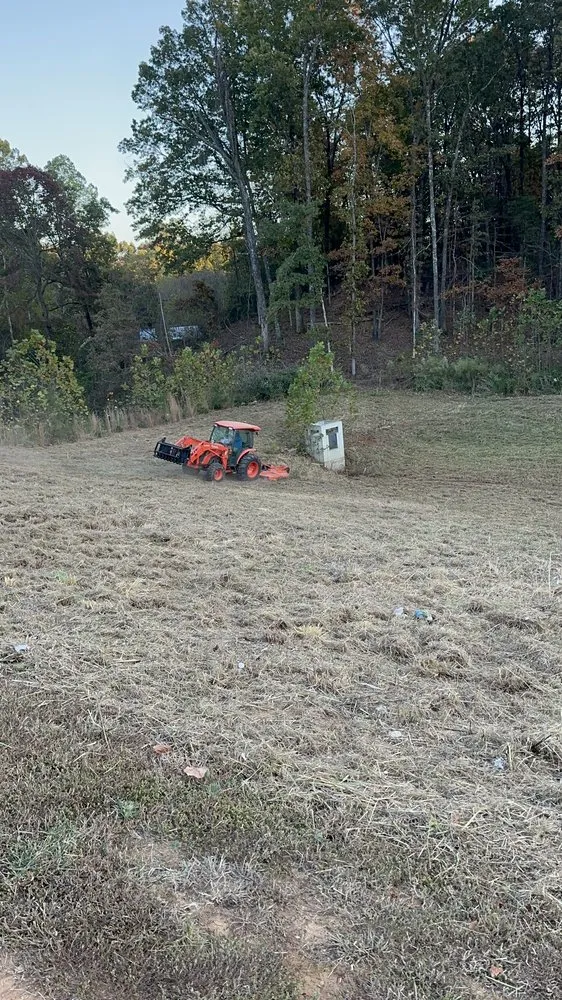 Custom yard maintenance experts serving Oxford, MS - Clayton Professional Services