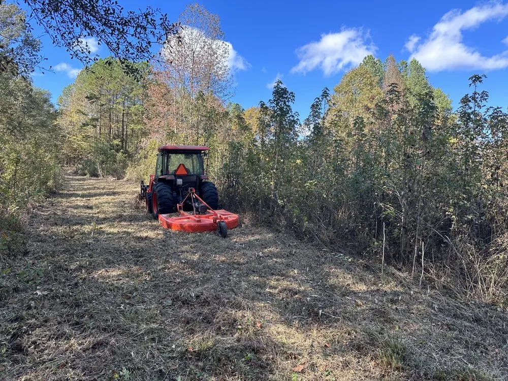 Local lawn mowing service for residential properties in Oxford, MS by Clayton Professional Services