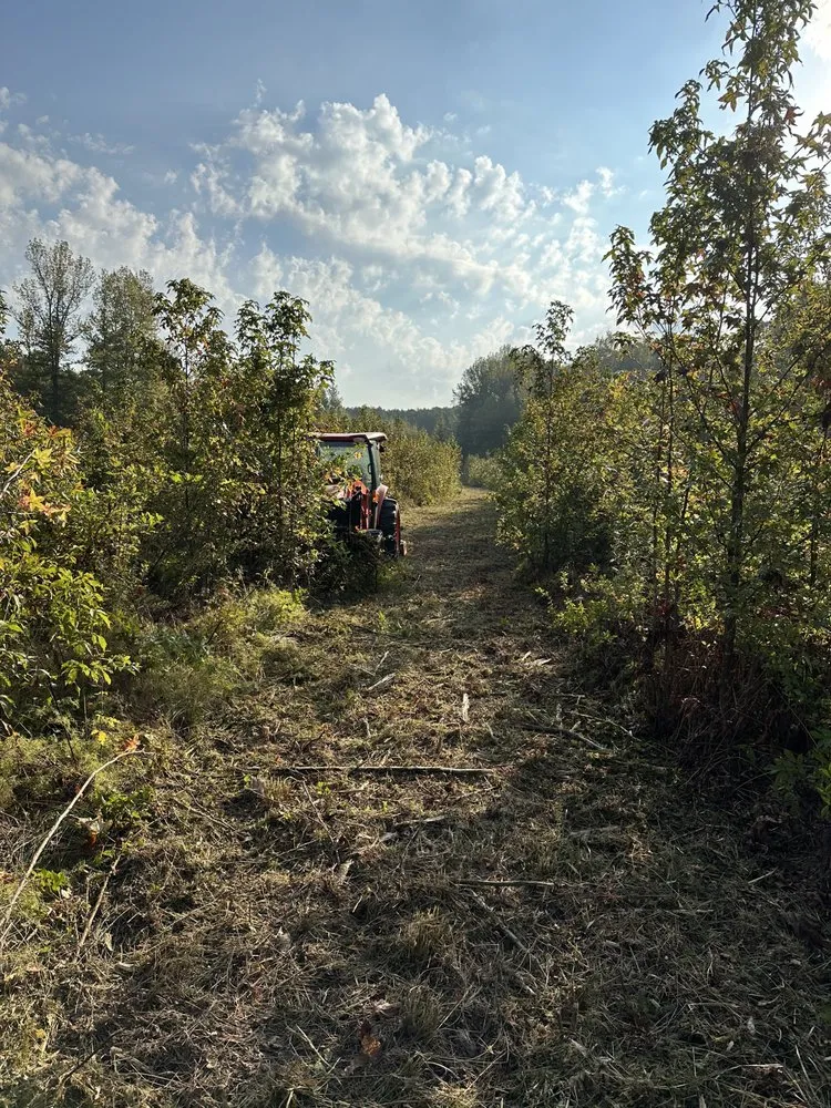 Top-rated outdoor landscaping in Oxford, MS - Clayton Professional Services