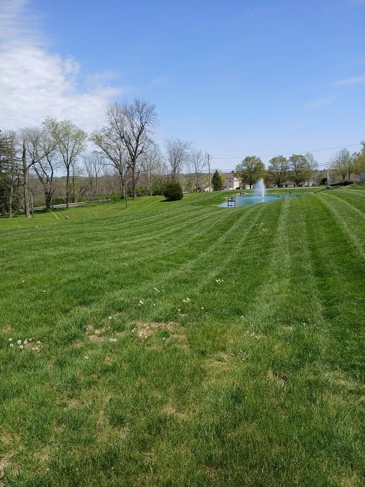 Custom lawn care service experts serving Springfield, OH - Clayton Property Maintenance