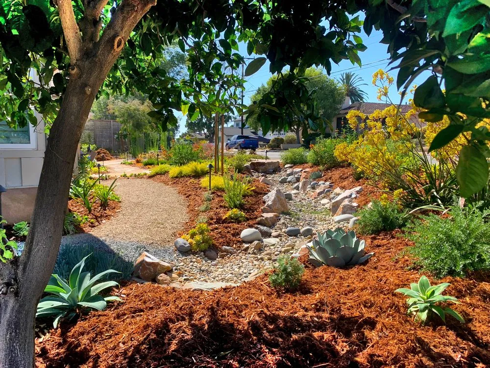 Professional yard cleanup service in San Diego, CA by Clayton's Garden Crafters