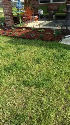 Clayton's Lawn Service Logo