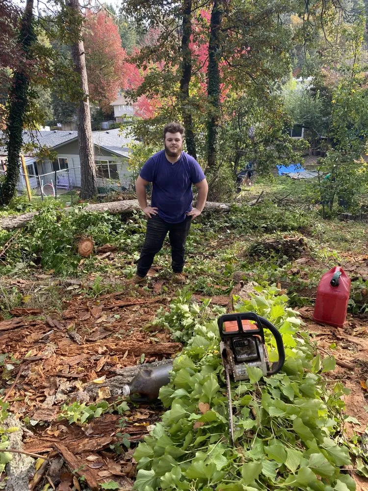 Professional lawn care service for year-round maintenance in Eugene, OR by Clayton’s Yard And Garden Service