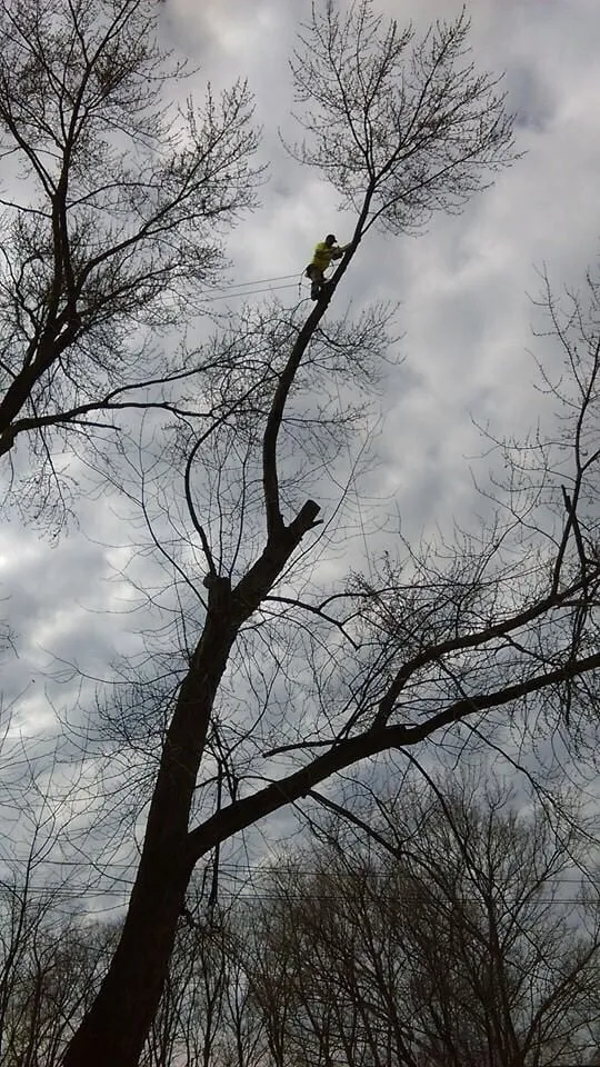 Affordable landscape installation for residential properties across New Kensington, PA - CLC Complete Lawn Care