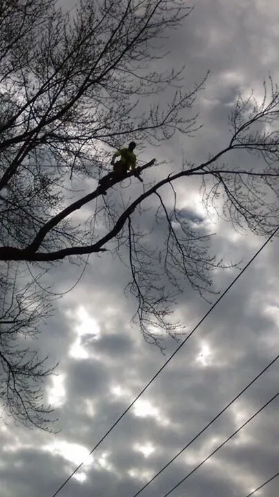 Expert lawn mowing service in New Kensington, PA by CLC Complete Lawn Care