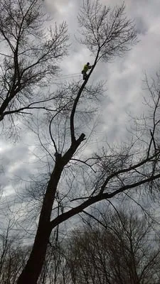 CLC Complete Lawn Care Logo