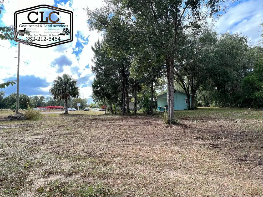 Reliable lawn mowing service experts serving Chiefland, FL - CLC Land Services