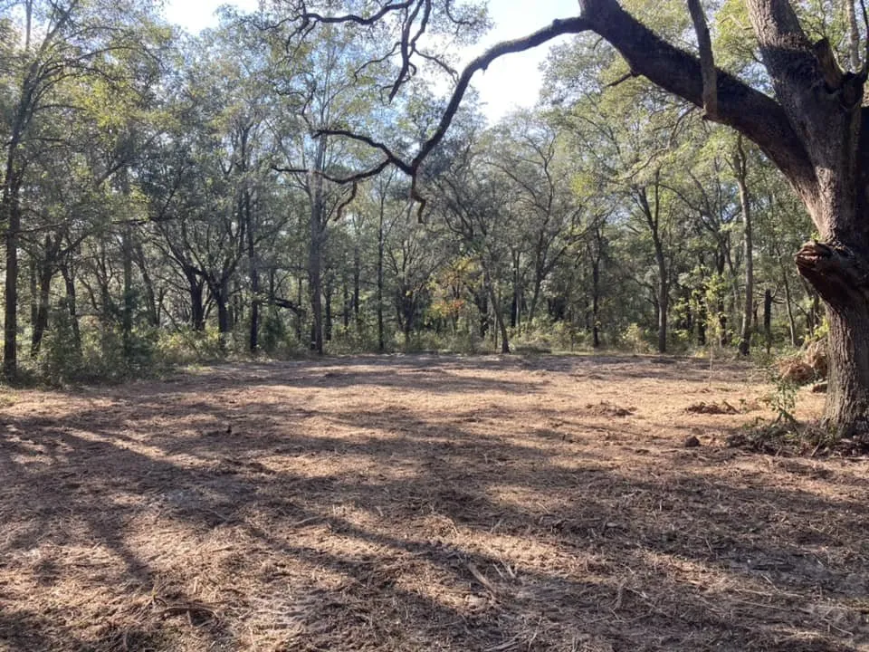 Professional yard maintenance in Chiefland, FL - CLC Land Services