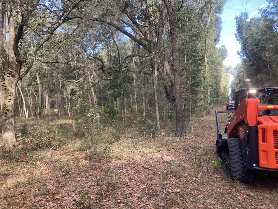 Expert yard cleanup service with custom design across Chiefland, FL - CLC Land Services
