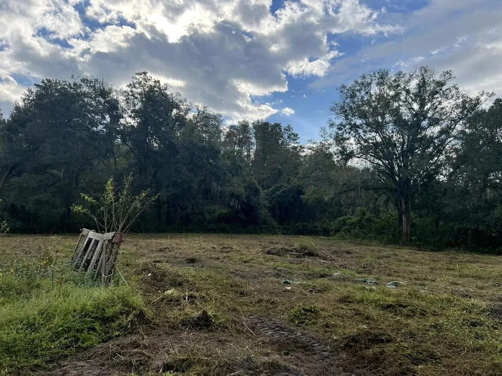 Expert outdoor landscaping in Chiefland, FL - CLC Land Services