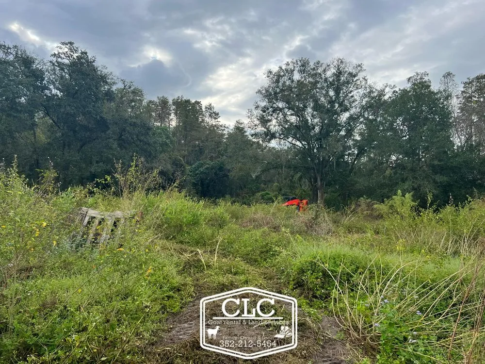 Trusted landscape installation for outdoor upgrades in Chiefland, FL by CLC Land Services