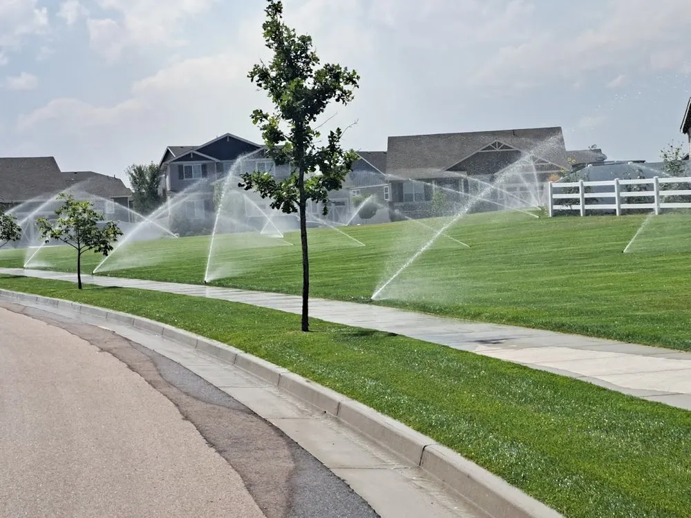 Reliable yard cleanup service for residential properties across Windsor, CO - CLC Landscape & Irrigation