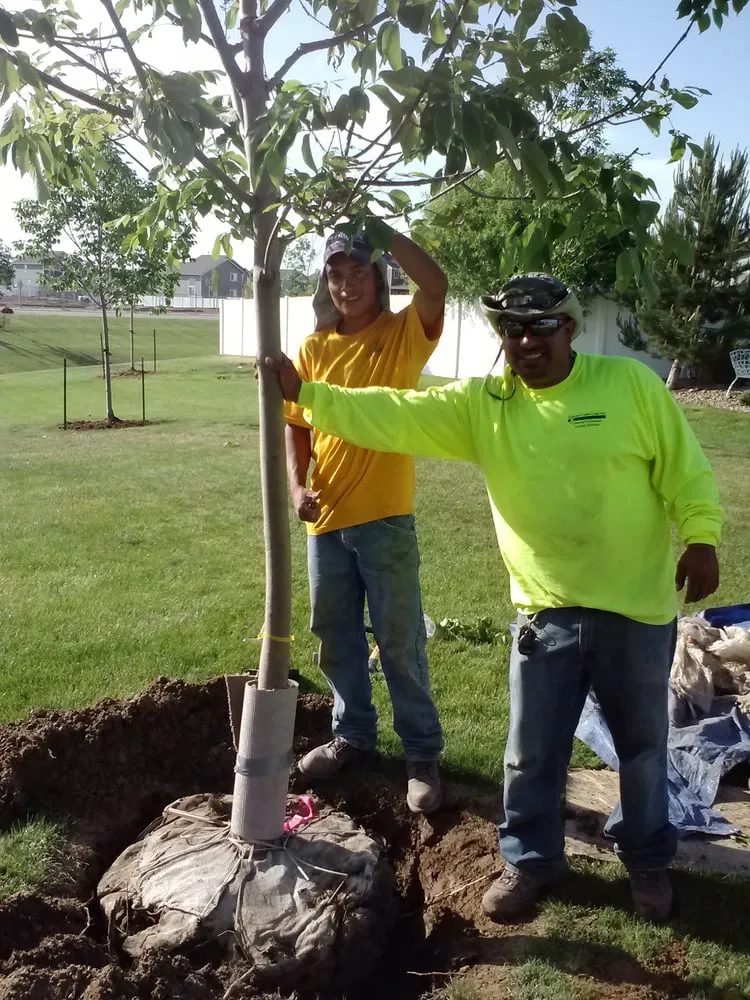 Affordable residential landscaping in Windsor, CO - CLC Landscape & Irrigation