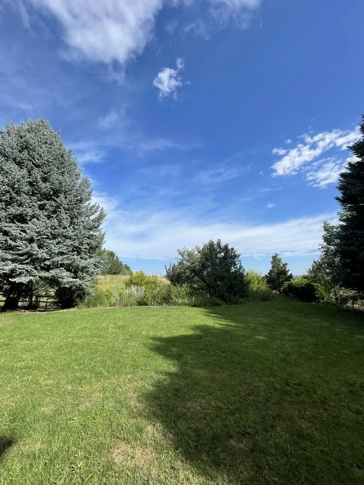 Affordable landscaping services near you in Windsor, CO by CLC Landscape & Irrigation