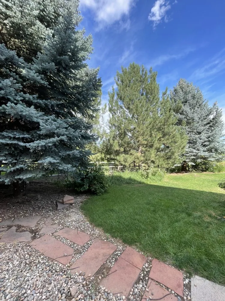 Top-rated landscape design for homes in Windsor, CO by CLC Landscape & Irrigation