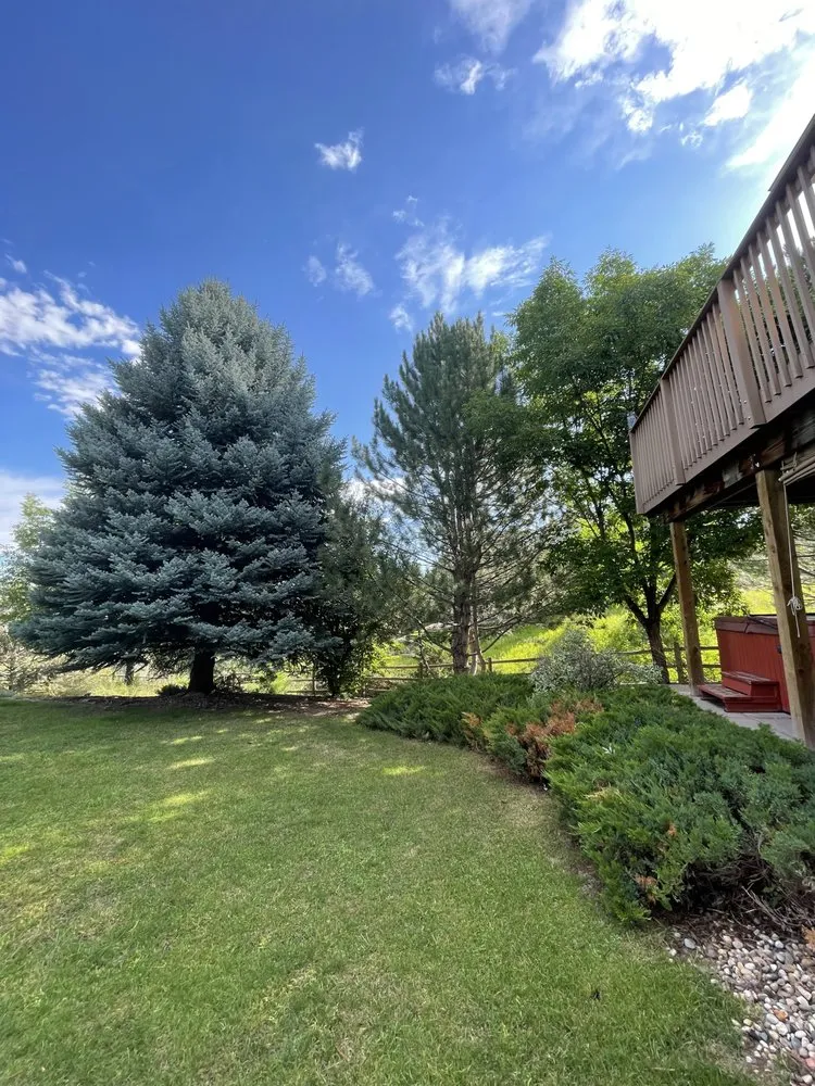 Custom lawn care service in Windsor, CO by CLC Landscape & Irrigation