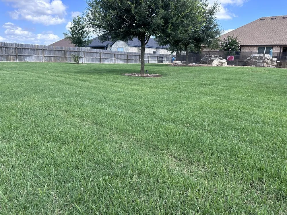 Affordable lawn mowing service for outdoor upgrades across San Marcos, TX - CLC Landscaping