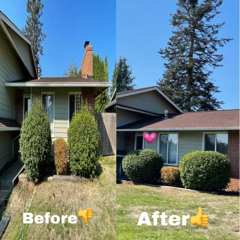 Top-rated lawn mowing service experts serving Tacoma, WA - CLC Lawn Care Service