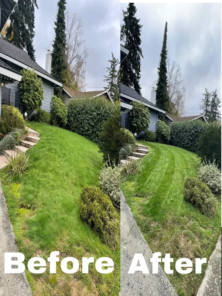 Local yard cleanup service in Tacoma, WA by CLC Lawn Care Service
